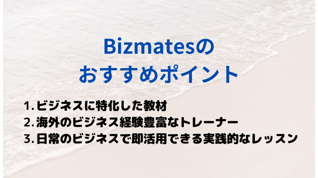 Bizmates ビズメイツ　特徴