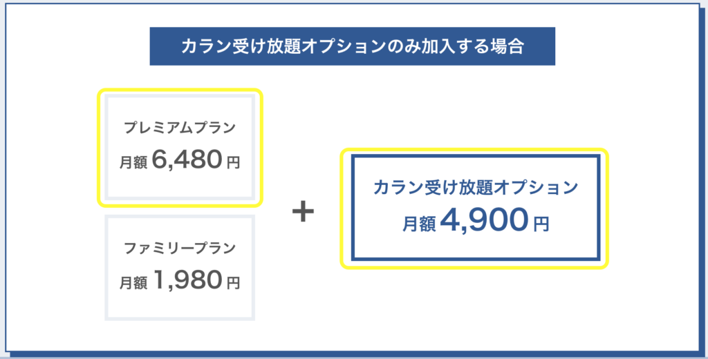 ネイティブキャンプ  カランメソッド受け放題
